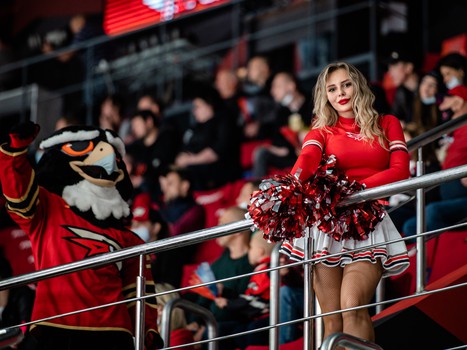 «Авангард» - ЦСКА. Вокруг матча