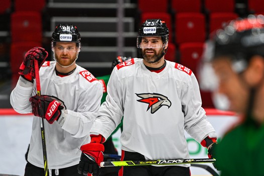 Раскатка «Авангарда» перед матчем с «Сибирью»