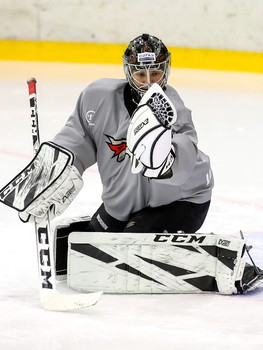 Новички «Авангарда». Александр Судницин