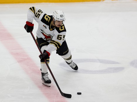 26.11.2021. «Сибирь» - «Авангард» 5:4