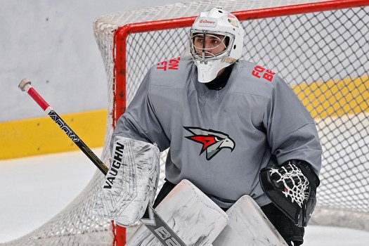 Открытая тренировка «Авангарда»