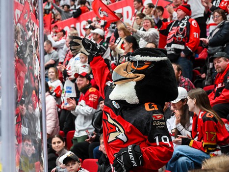 «Авангард» - «Торпедо» 4:3. Вокруг матча