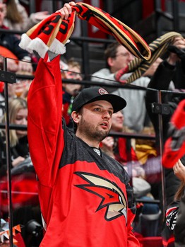 «Авангард» - «Металлург» 3:0. Вокруг матча