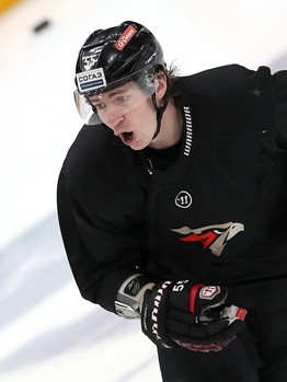 Раскатка «Авангарда» перед матчем с «Ак Барсом»