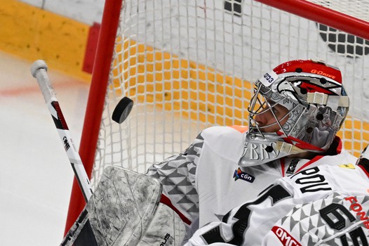 01.02.2026. «Динамо» Мск - «Авангард» 1:4