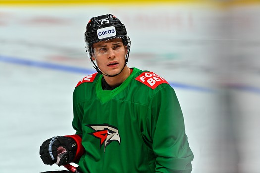 Раскатка «Авангарда» перед матчем с «Металлургом»