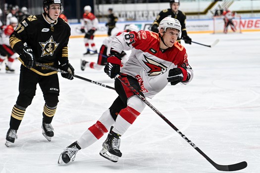 30.01.2023. «Адмирал» - «Авангард» 2:1 ОТ