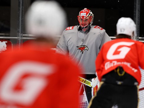 Тренировка «Авангарда» перед матчем во Владивостоке