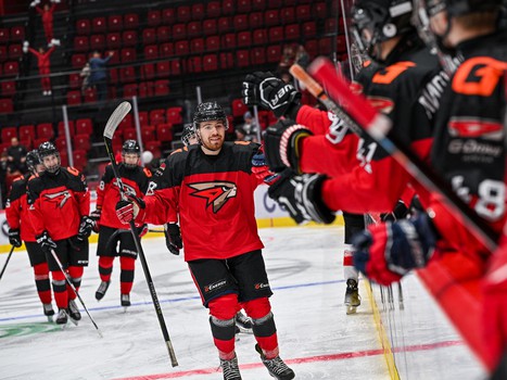 День рождения Хоккейной Академии «Авангард» на G-Drive Арене