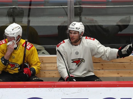 Открытая тренировка «Авангарда» перед плей-офф