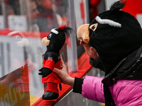 29.01.2025. «Авангард» - «Салават Юлаев» 2:4