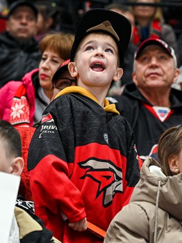 «Авангард» - «Салават Юлаев» 1:0. Вокруг матча