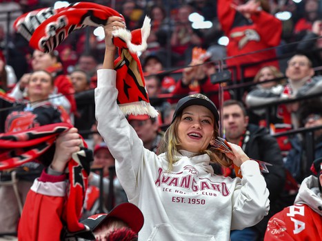 «Авангард» - «Адмирал» 4:1. Вокруг матча