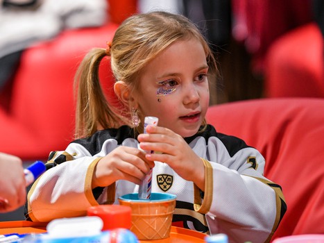 «Авангард» - «Нефтехимик» 3:0. Вокруг матча