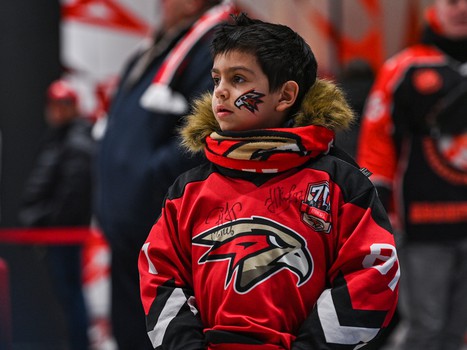 «Авангард» - «Салават Юлаев» 1:3. Вокруг матча