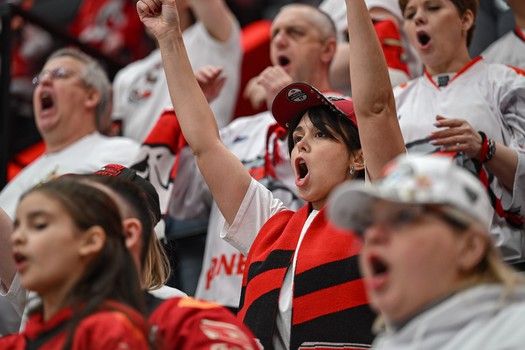 «Авангард» - «Амур» 3:4. Вокруг матча