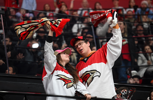 «Авангард» - «Трактор» 3:2. Вокруг матча