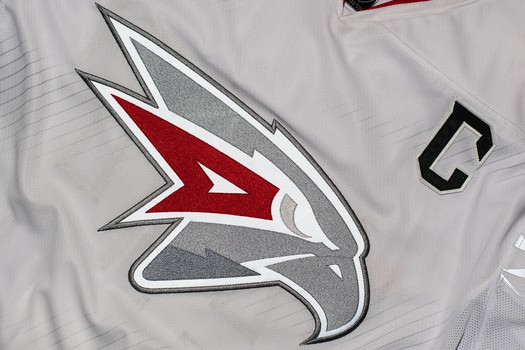 Гостевая форма «Авангарда» на сезон 2025/26