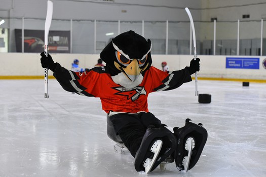 Турнир по следж-хоккею в Омске, день 2