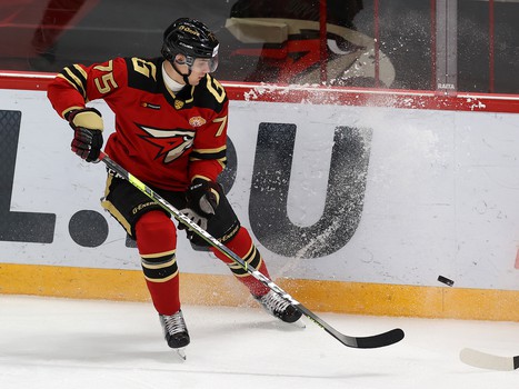 30.11.2021. «Авангард» - «Нефтехимик» 6:1