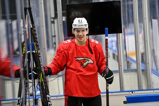 Раскатка «Авангарда» перед третьим матчем серии с «Сибирью» в Новосибирске