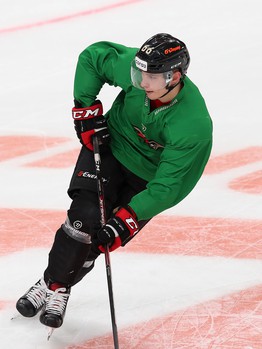 Раскатка «Авангарда» перед матчем с «Сибирью»