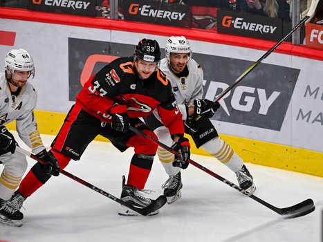 27.01.2025. «Авангард» - «Адмирал» 4:1