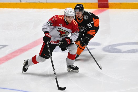 13.02.2025. «Амур» - «Авангард» 1:7