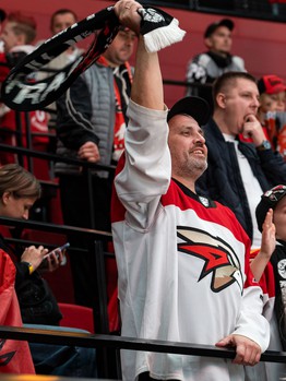 «Авангард» - «Динамо» Мн 5:4 Б. Вокруг матча