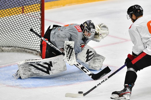 Двусторонний матч «Авангарда»