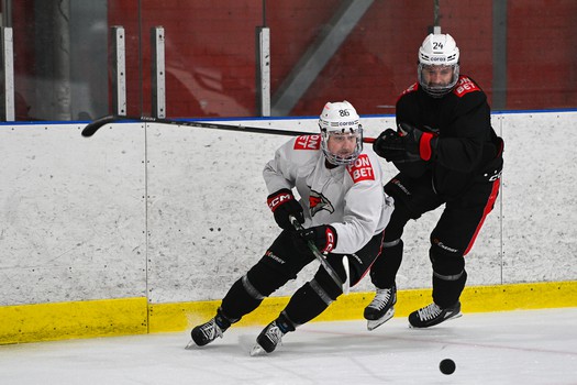 Тренировка «Авангарда» в Балашихе