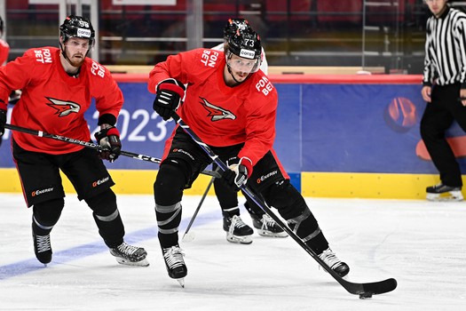 Двусторонка «Авангарда»