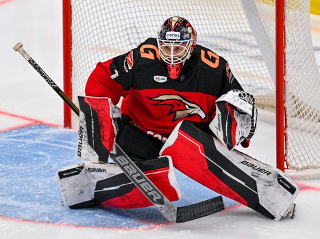 26.02.2025. «Авангард» - «Витязь» 4:3 ОТ