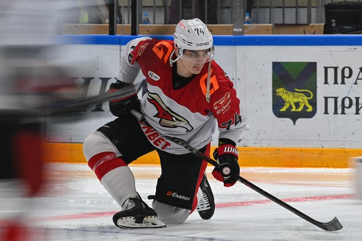 11.02.2025. «Адмирал» - «Авангард» 2:5