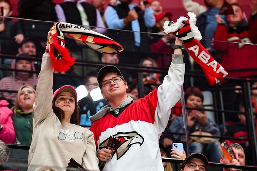 «Авангард» - «Динамо» Мн 5:4 Б. Вокруг матча