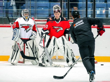 Товарищеский матч. Команда Хартли – Авангард Kids