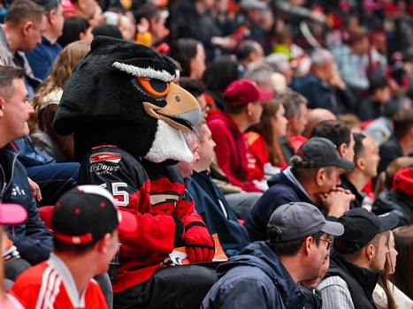 «Авангард» - «Ак Барс» 4:1. Вокруг матча