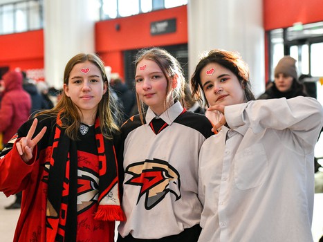 «Авангард» - «Металлург» 3:0. Вокруг матча