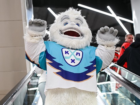 «Авангард» - «Салават Юлаев» 1:0. Вокруг матча