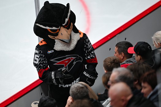 «Авангард» - «Нефтехимик» 4:3 OT. Вокруг матча