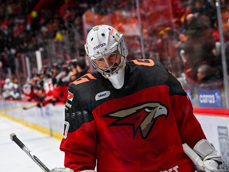 17.02.2024. «Авангард» - «Металлург» 3:0