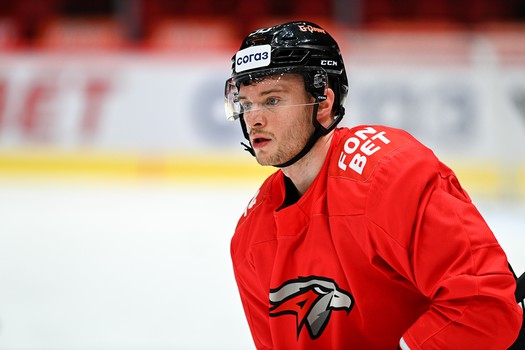 Раскатка «Авангарда» перед матчем с «Ак Барсом»