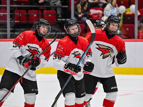 День рождения Хоккейной Академии «Авангард» на G-Drive Арене