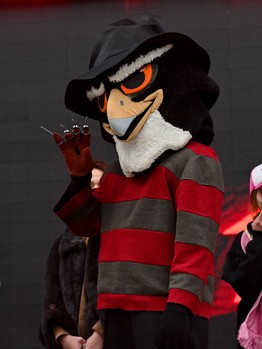 «Авангард» - «Адмирал» 5:2. Вокруг матча