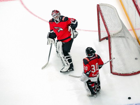 Товарищеский матч. Команда Хартли – Авангард Kids