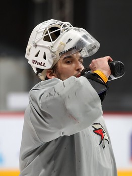 Открытая тренировка «Авангарда» для прессы и болельщиков