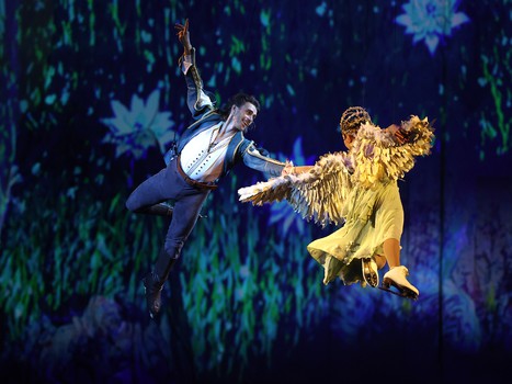 Шоу «Спящая красавица» в Дубае