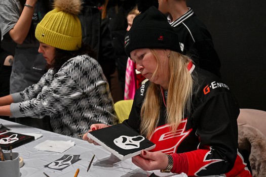 «Авангард» - «Адмирал» 5:2. Вокруг матча