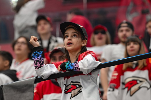 «Авангард» - «Нефтехимик» 4:3 OT. Вокруг матча