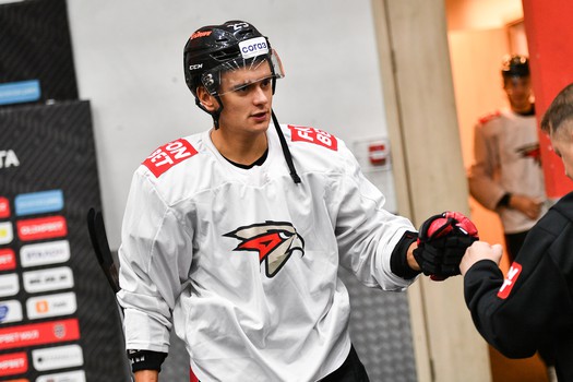 Двусторонний матч «Авангарда»